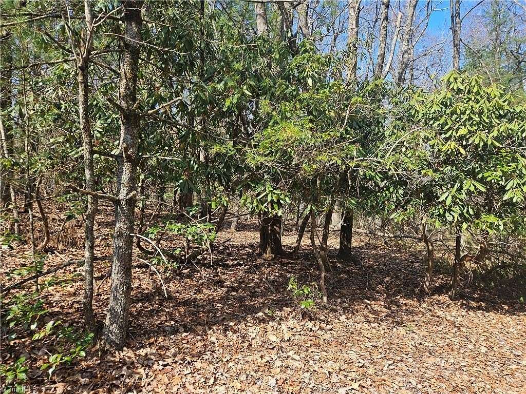 0.42 Acres of Residential Land for Sale in Roaring Gap, North Carolina