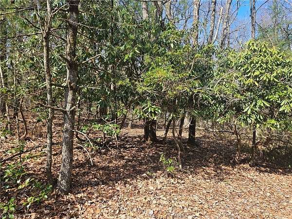 0.42 Acres of Residential Land for Sale in Roaring Gap, North Carolina