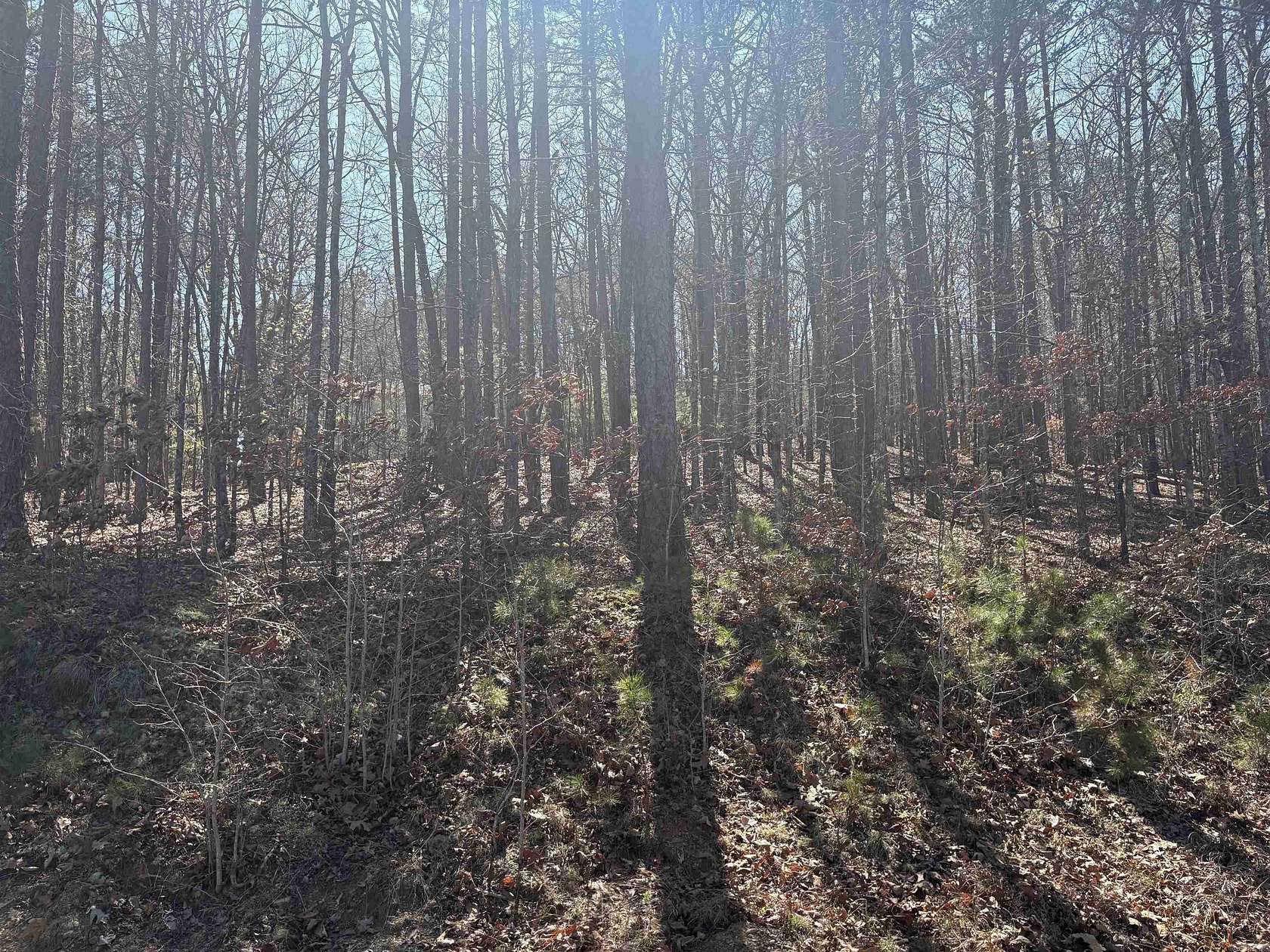 0.25 Acres of Residential Land for Sale in Fairfield Bay, Arkansas