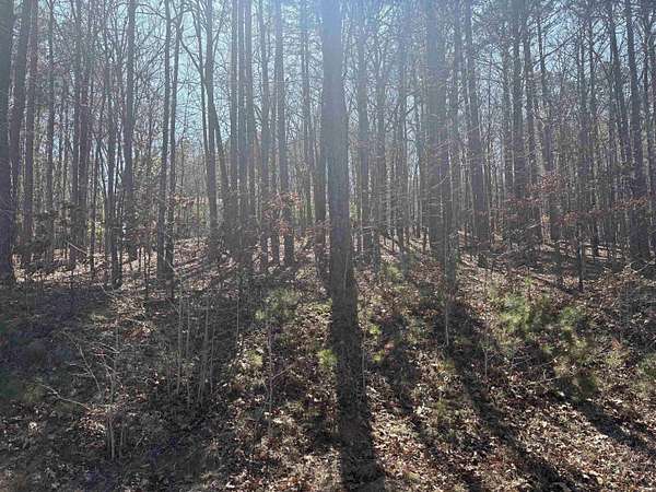 0.25 Acres of Land for Sale in Fairfield Bay, Arkansas