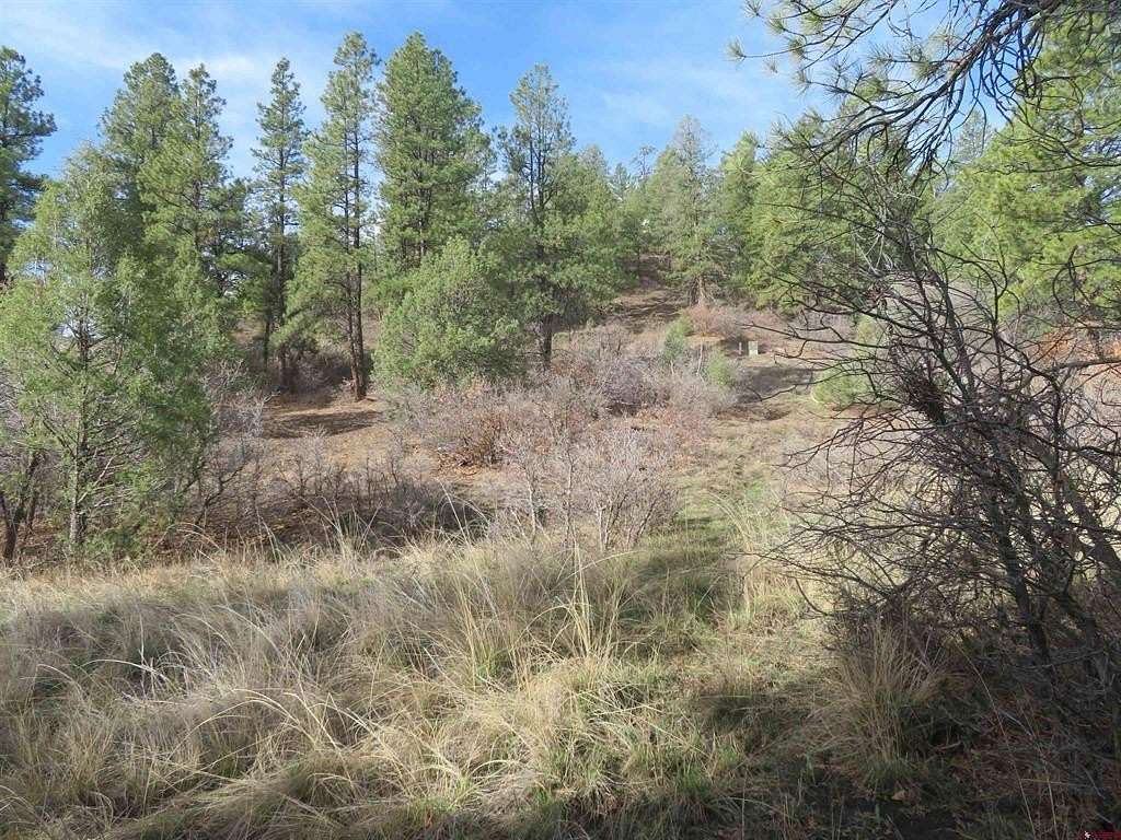 5.5 Acres of Residential Land for Sale in Pagosa Springs, Colorado