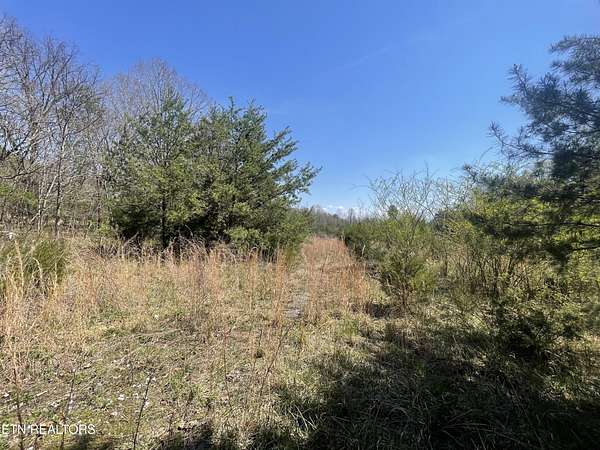 30.4 Acres of Recreational & Residential Land for Sale in Vonore, Tennessee