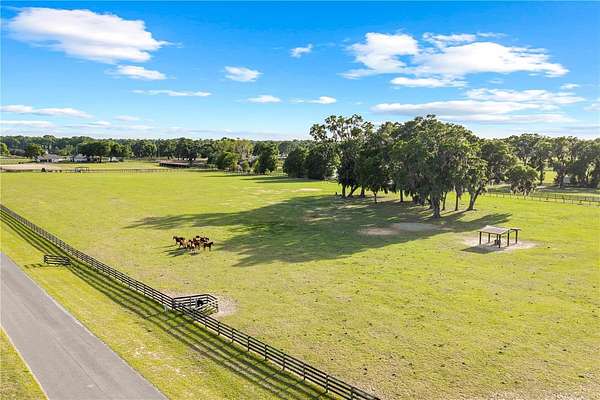 10 Acres of Agricultural Land for Sale in Citra, Florida