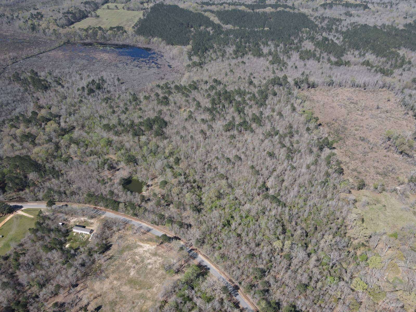 56 Acres of Recreational & Residential Land for Sale in Pinola, Mississippi