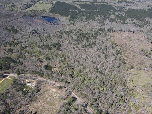 56 Acres of Recreational & Residential Land for Sale in Pinola, Mississippi