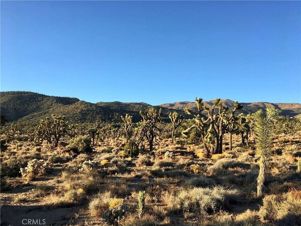 10 Acres of Land for Sale in Lucerne Valley, California