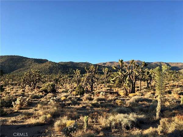 10 Acres of Land for Sale in Lucerne Valley, California