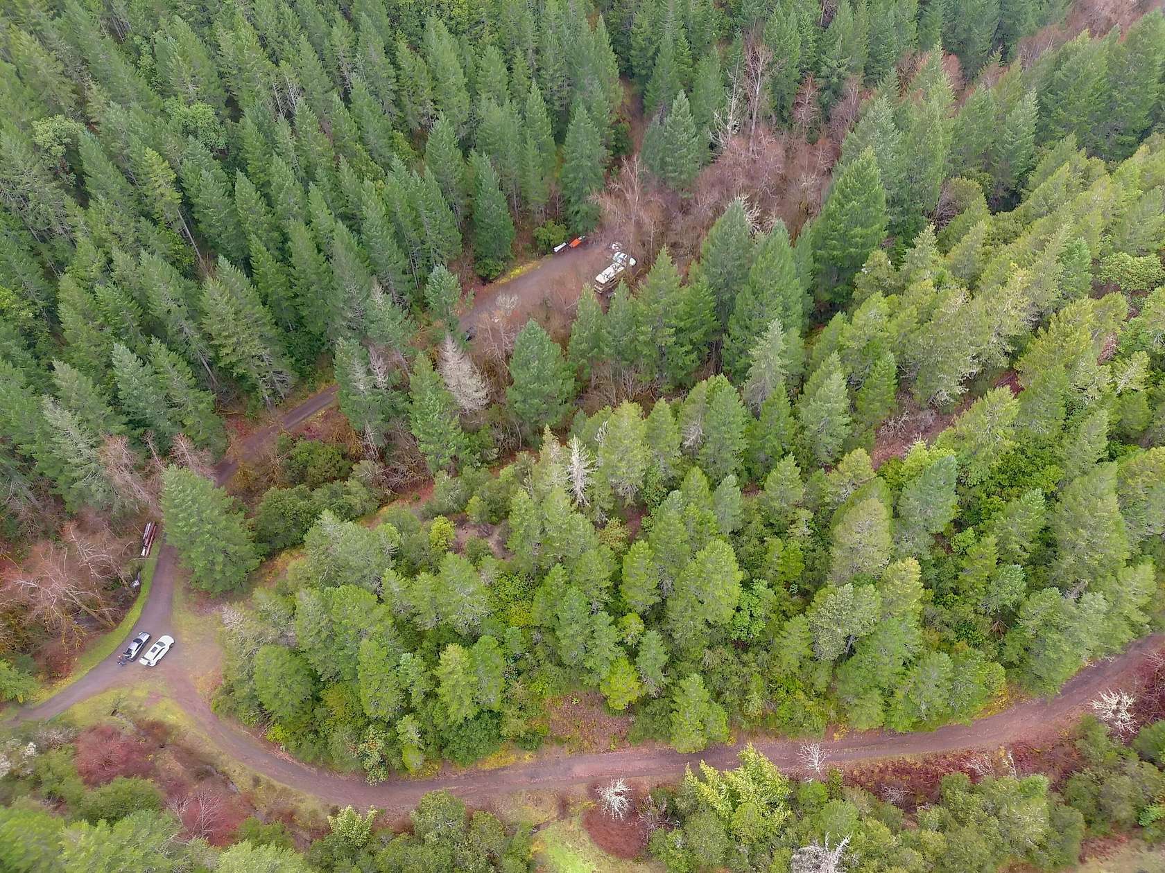 320 Acres of Recreational & Residential Land for Sale in Wilderville, Oregon