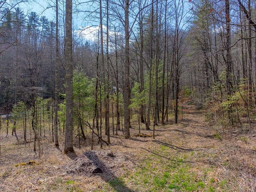 47.5 Acres of Recreational & Residential Land for Sale in Robbinsville, North Carolina