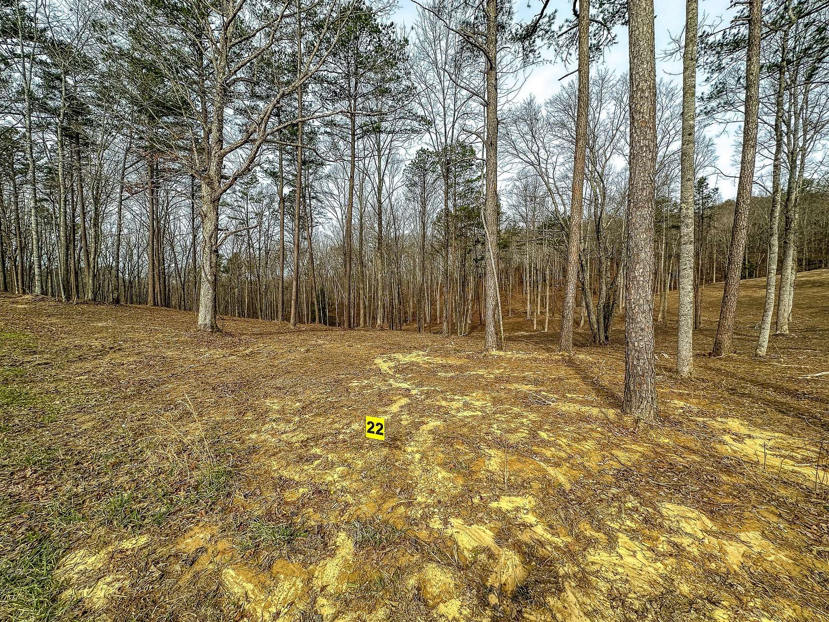 4.62 Acres of Residential Land for Sale in East Bernstadt, Kentucky