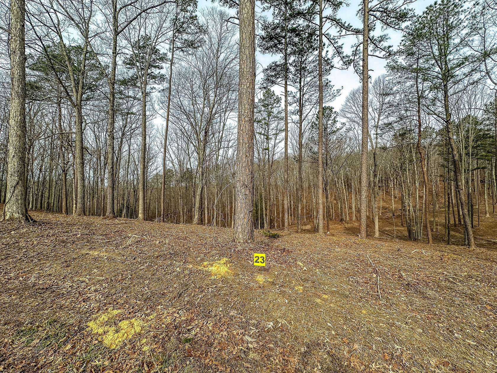 4.62 Acres of Residential Land for Sale in East Bernstadt, Kentucky