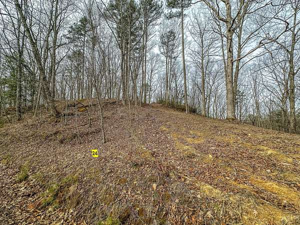 10.8 Acres of Recreational & Residential Land for Sale in East Bernstadt, Kentucky