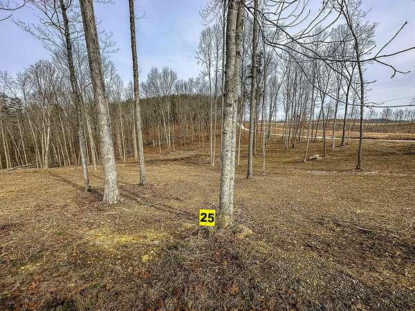 9.8 Acres of Residential Land for Sale in East Bernstadt, Kentucky