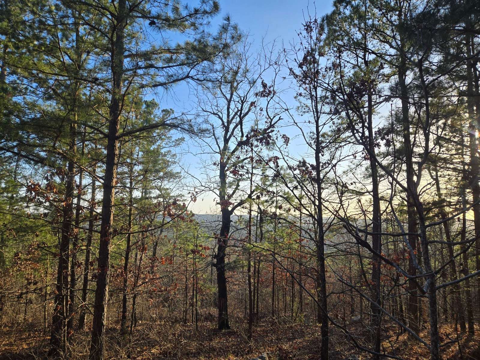 20 Acres of Recreational & Residential Land for Sale in Moyers, Oklahoma