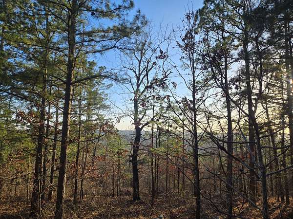 20 Acres of Recreational & Residential Land for Sale in Moyers, Oklahoma