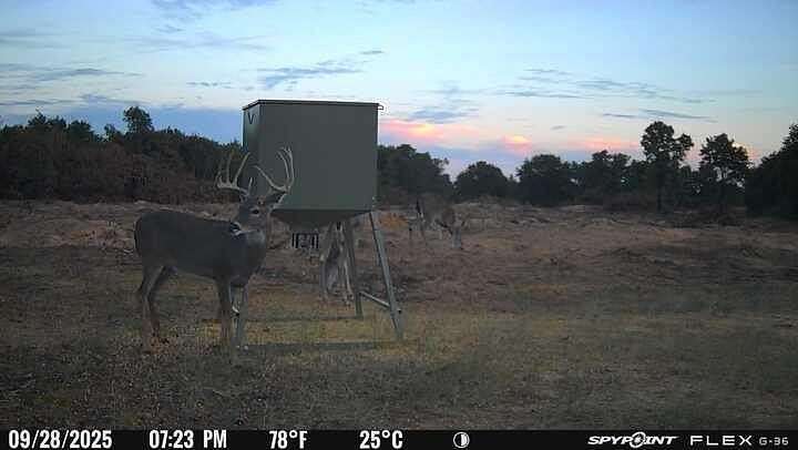 57 Acres of Recreational & Residential Land for Sale in Anson, Texas