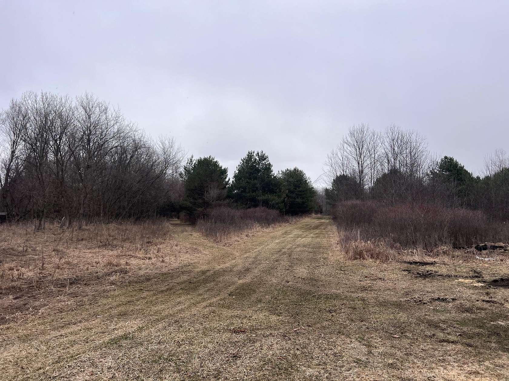 40 Acres of Recreational & Residential Land for Sale in Perry, Michigan