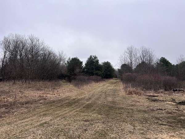 40 Acres of Recreational & Residential Land for Sale in Perry, Michigan