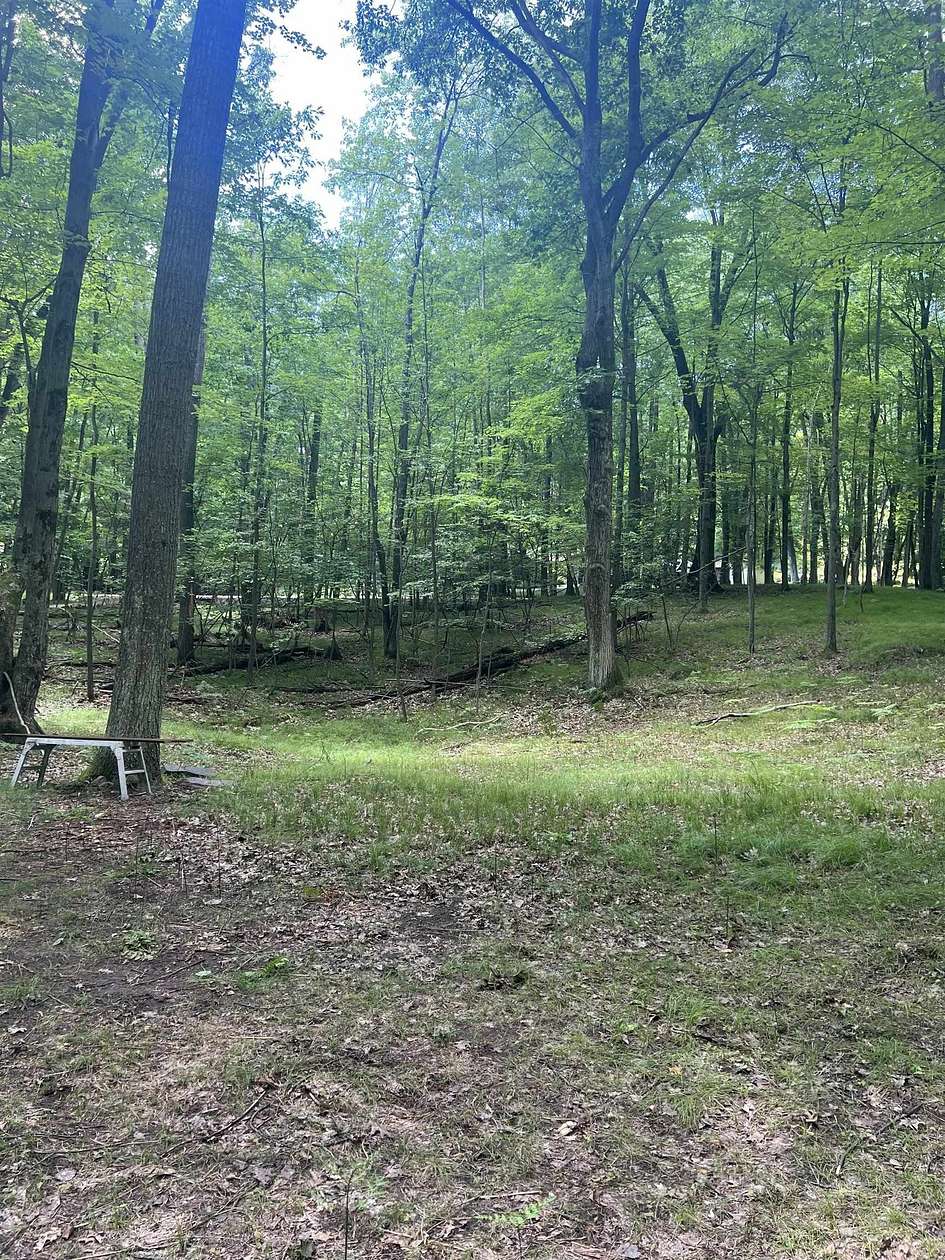 1.25 Acres of Residential Land for Sale in Farwell, Michigan