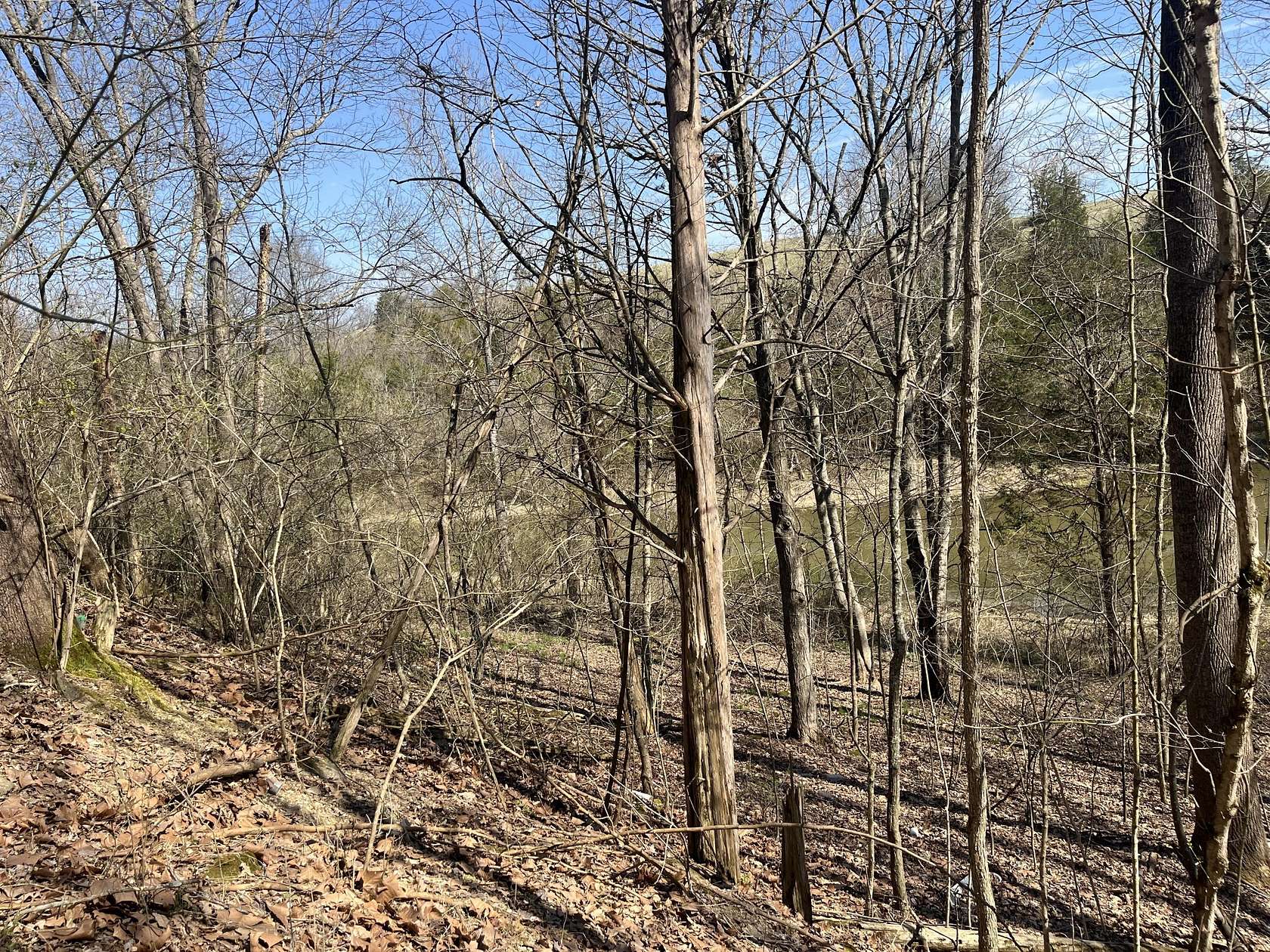 1 Acre of Residential Land for Sale in Owenton, Kentucky