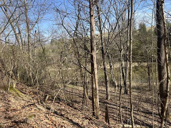 1 Acre of Residential Land for Sale in Owenton, Kentucky