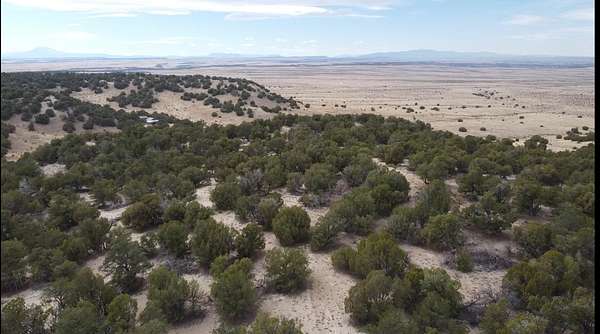70 Acres of Land for Sale in Model, Colorado