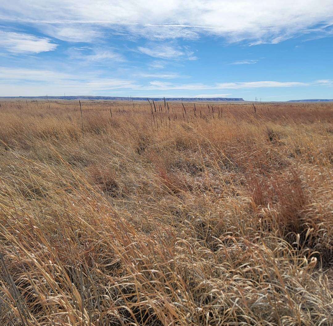160 Acres of Land for Sale in Hawk Springs, Wyoming