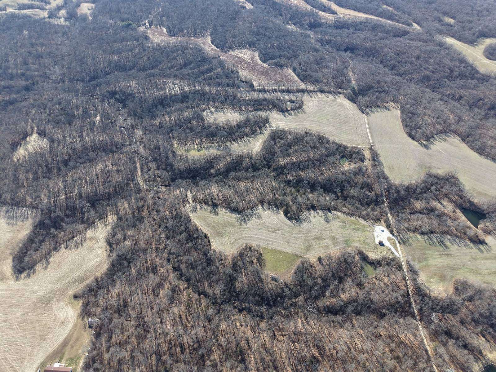 98.3 Acres of Land for Sale in New Salem, Illinois