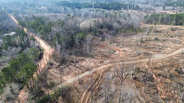 86 Acres of Recreational Land for Sale in Fulton, Alabama