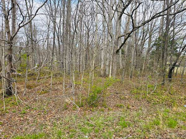 1 Acre of Residential Land for Sale in Tennessee Ridge, Tennessee