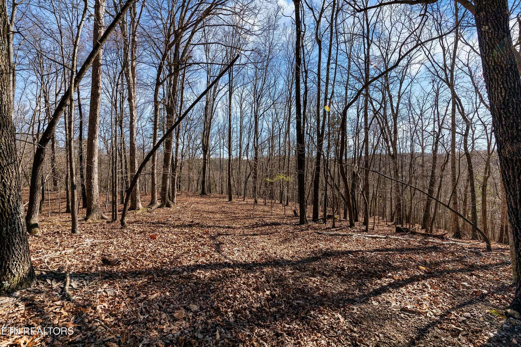 30.6 Acres of Land for Sale in Loudon, Tennessee