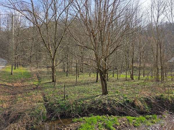 8.33 Acres of Land for Auction in Pleasant Shade, Tennessee