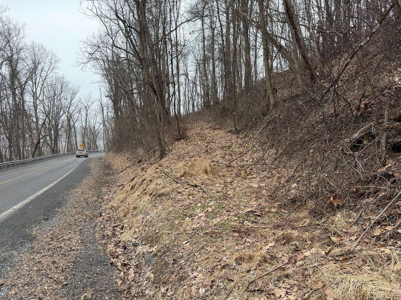 24 Acres of Recreational & Residential Land for Sale in Falling Spring, West Virginia