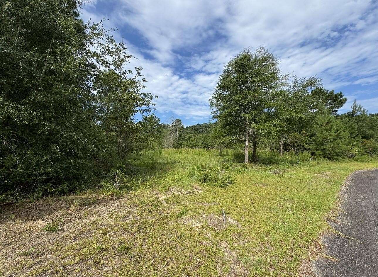 4 Acres of Residential Land for Sale in Williston, South Carolina