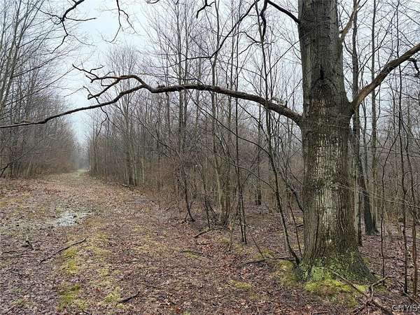 20 Acres of Recreational Land for Sale in Mayville, New York