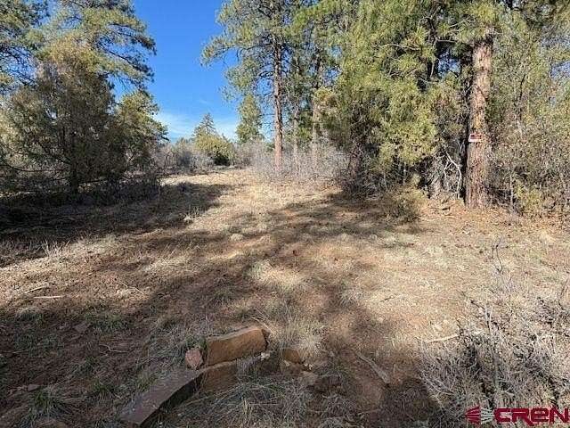 1.42 Acres of Residential Land for Sale in Pagosa Springs, Colorado