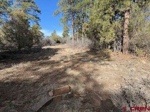 1.42 Acres of Residential Land for Sale in Pagosa Springs, Colorado