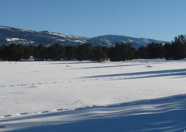 5.68 Acres of Residential Land for Sale in Spring City, Utah