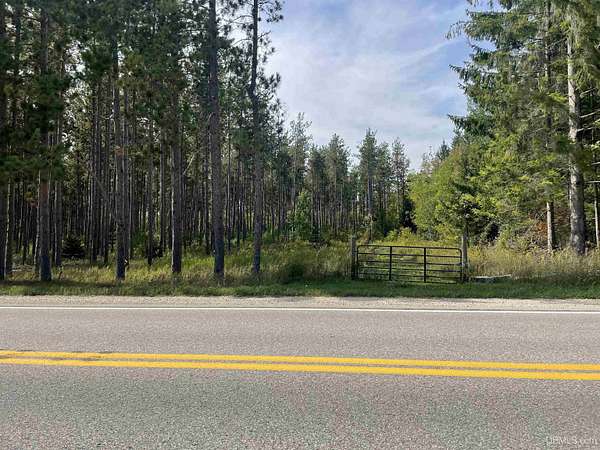 15.1 Acres of Land for Sale in Manistique, Michigan