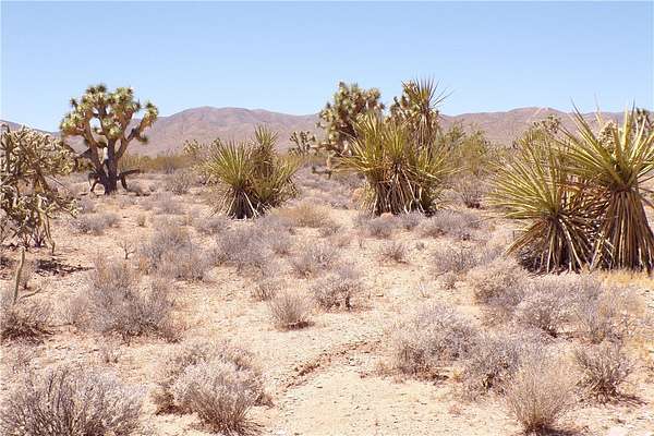 1 Acre of Residential Land for Sale in Meadview, Arizona