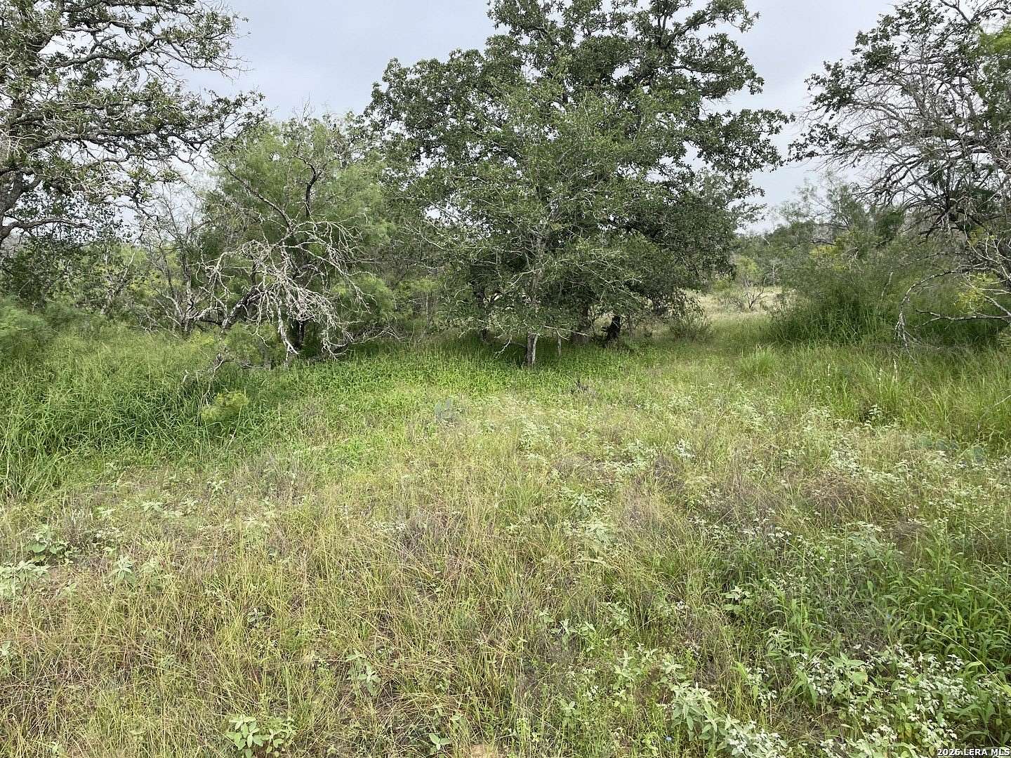 12.3 Acres of Land for Sale in Devine, Texas