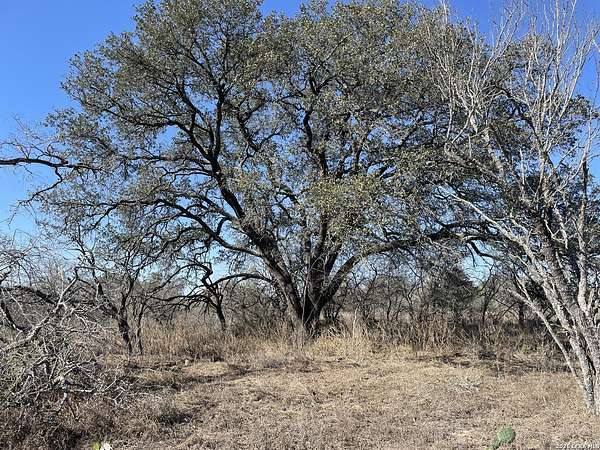 12.3 Acres of Land for Sale in Devine, Texas