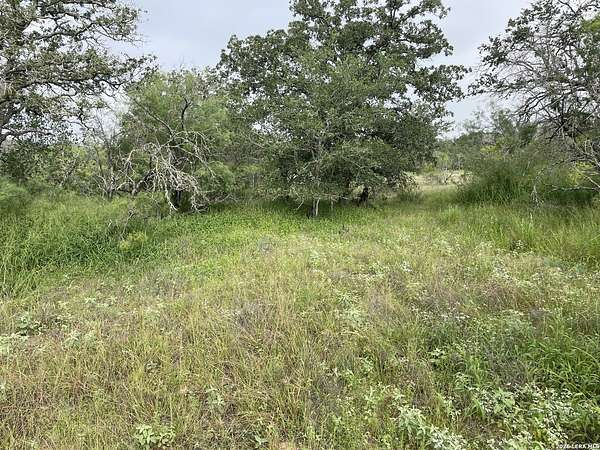 12.3 Acres of Land for Sale in Devine, Texas