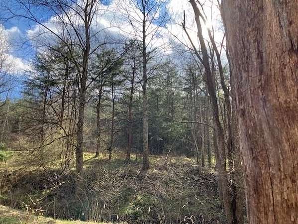 80 Acres of Recreational & Residential Land for Sale in Leon, West Virginia