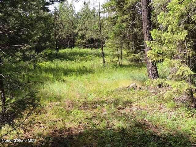 5 Acres of Land for Sale in Spirit Lake, Idaho
