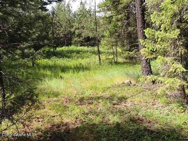 5 Acres of Land for Sale in Spirit Lake, Idaho