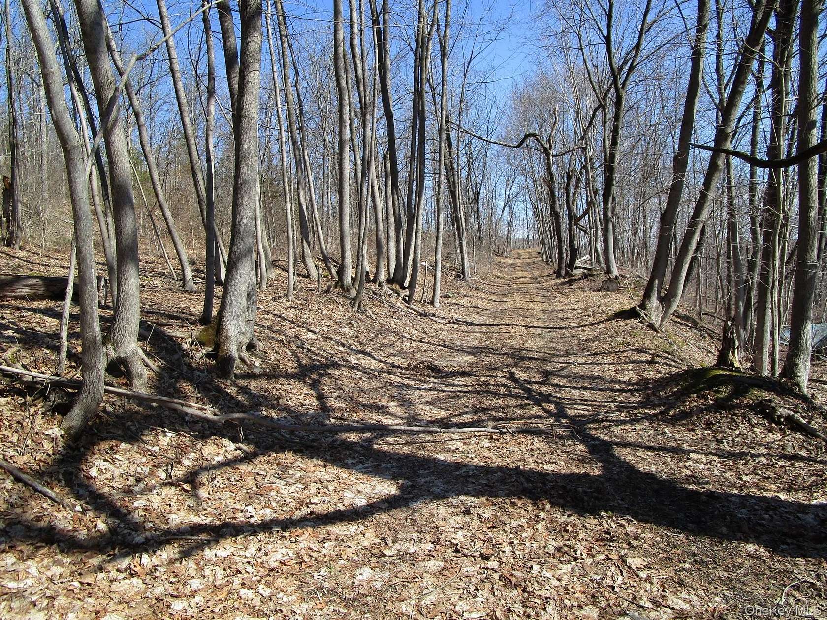 40.7 Acres of Recreational & Residential Land for Sale in New Hampton, New York