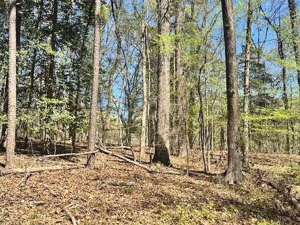 1 Acre of Residential Land for Sale in Etoile, Texas