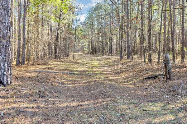 36.8 Acres of Recreational & Residential Land for Sale in Aiken, South Carolina