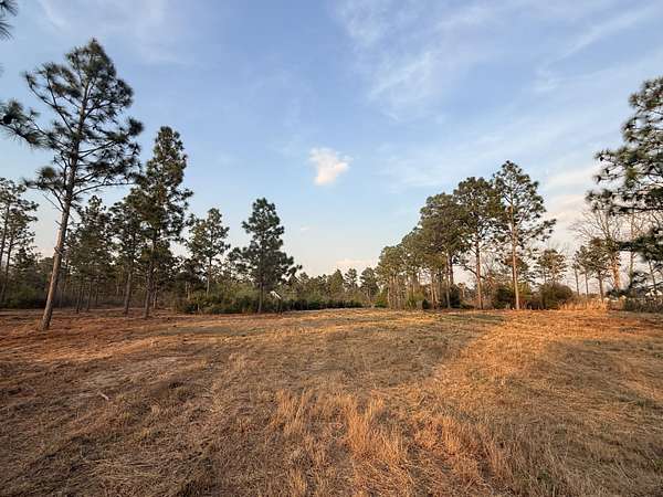 14 Acres of Land for Sale in Windsor, South Carolina